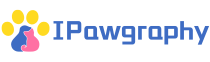www.ipawgraghy.com